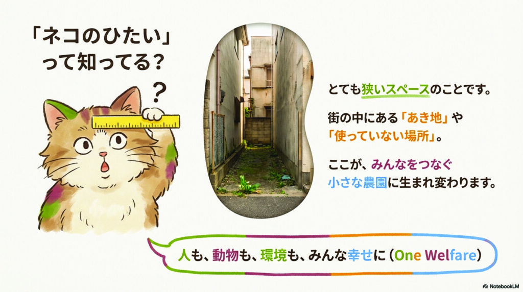 「ネコのひたい」って知ってる?
とても狭いスペースのことです。
街の中にある「あき地」や「使っていない場所」。
ここが、みんなをつなぐ小さな農園に生まれ変わります。
人も、動物も、環境も、みんな幸せに(One Welfare)